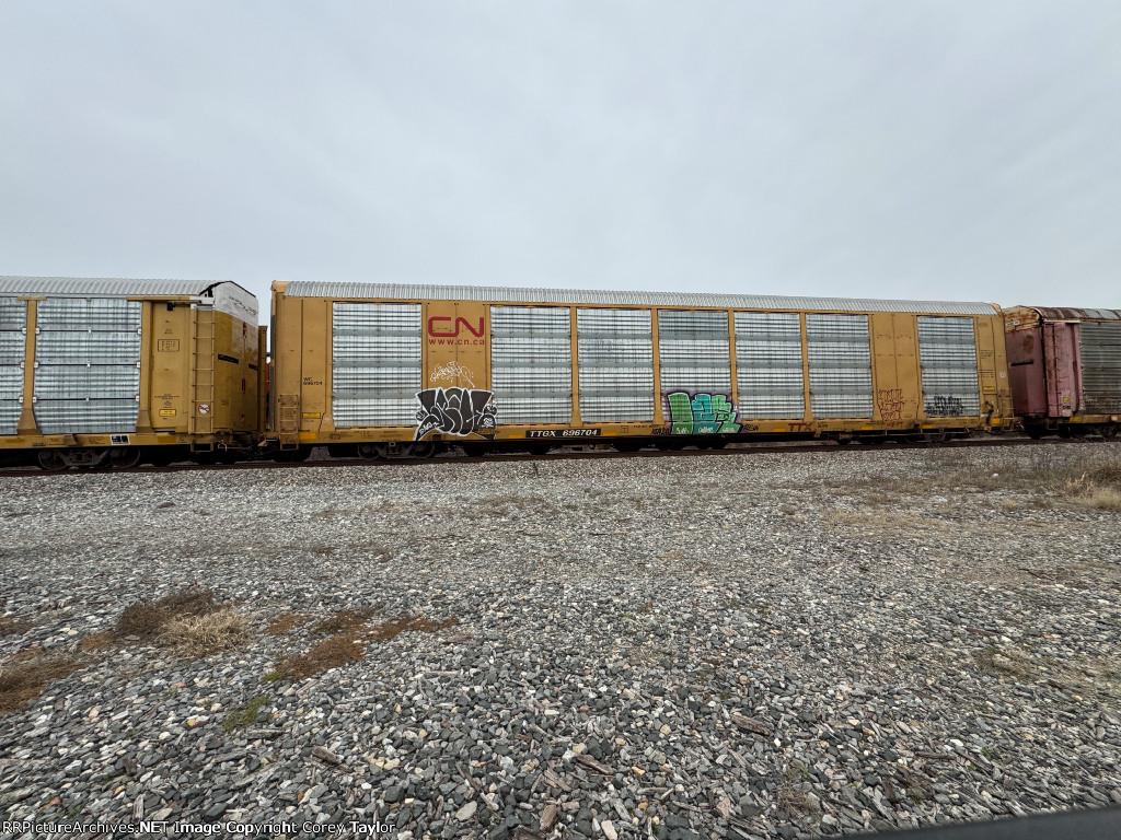 TTGX 696704